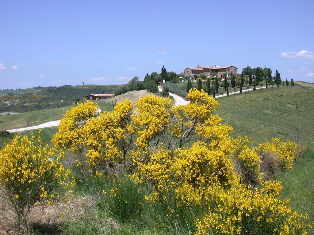Agriturismo Palazzo Conti A Pienza Exterior foto